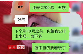 云浮为什么选择专业追讨公司来处理您的债务纠纷？